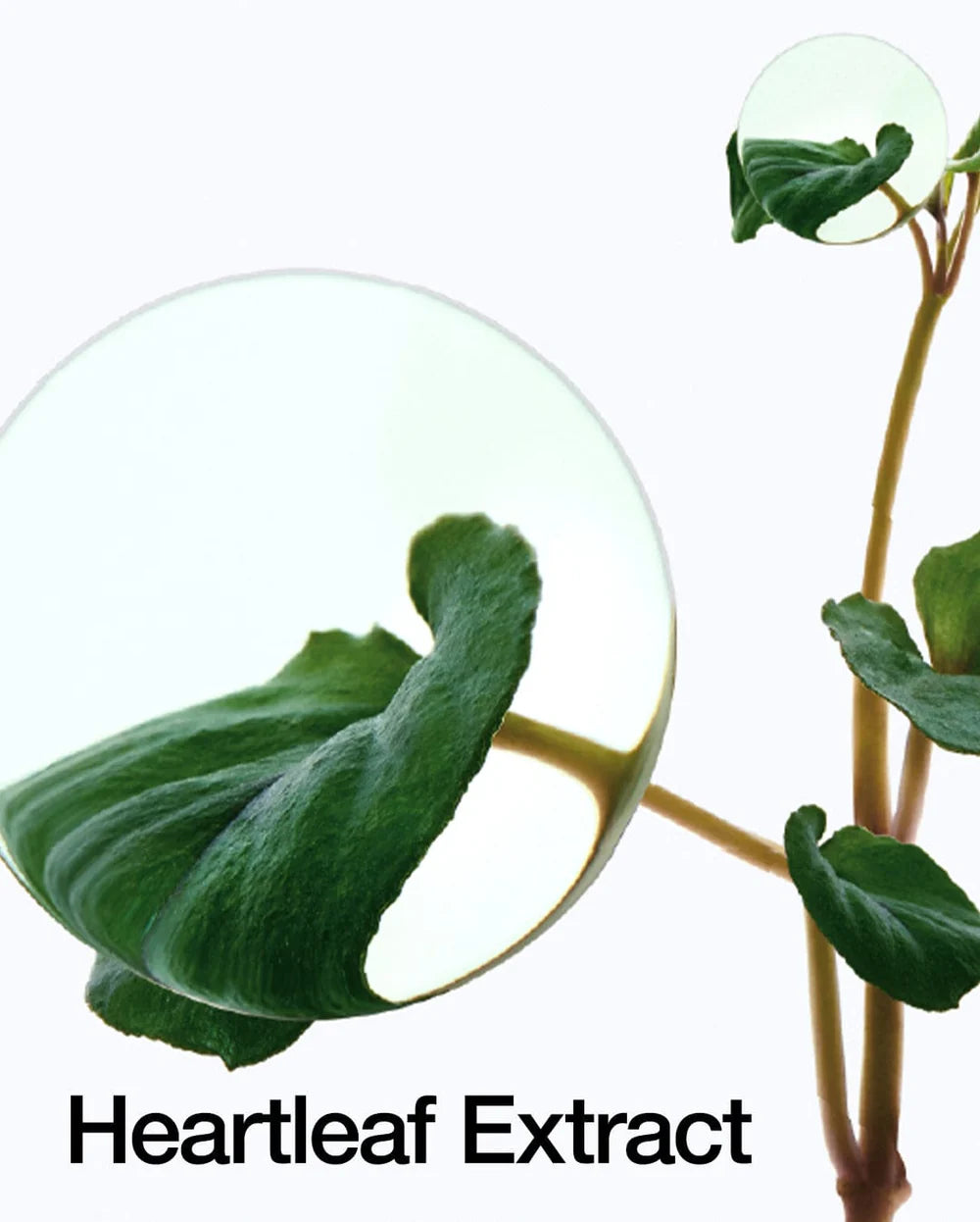 Anua - Heartleaf Pore Control Cleansing Oil Mild